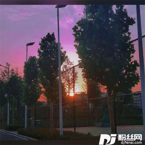 太阳出来我爬电杆dj版的专辑