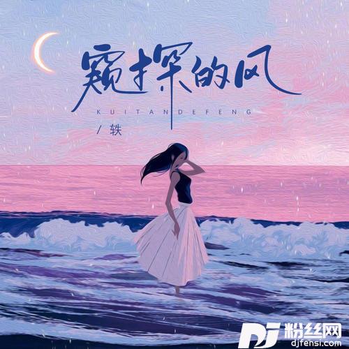 窥探的风