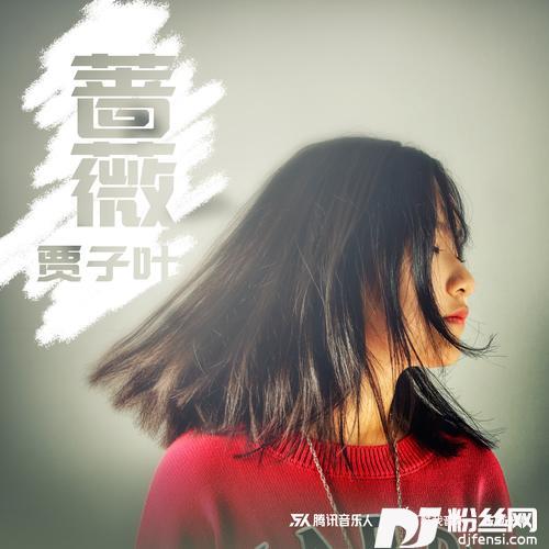 蔷薇