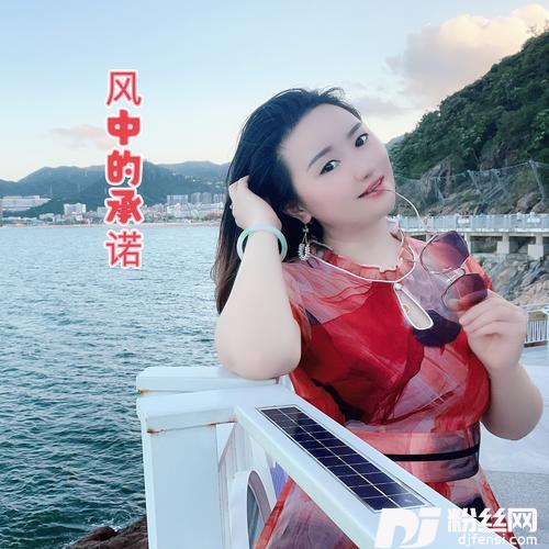 风中的承诺cover:李玲玉