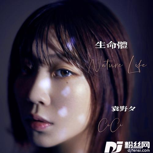 沉睡游弋