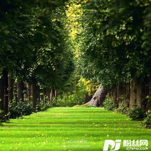心太软cover:任贤齐的专辑