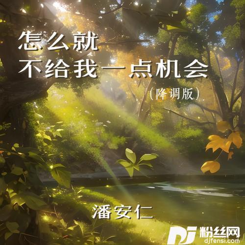 怎么就不给我一点机会降调版