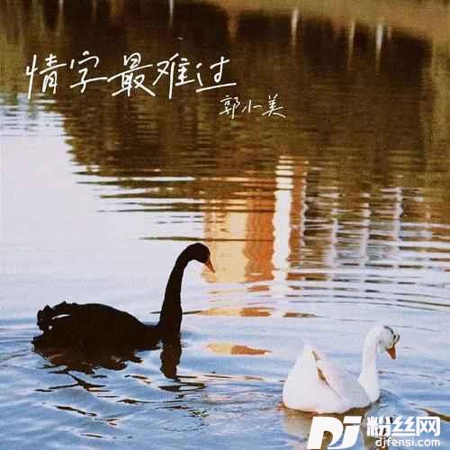 情字最难过的专辑
