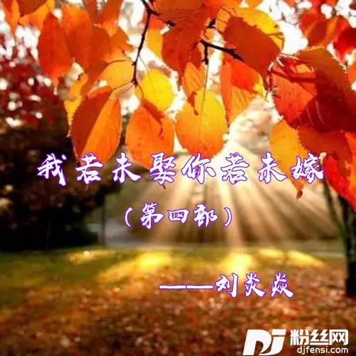我若未娶你若未嫁（第四部）