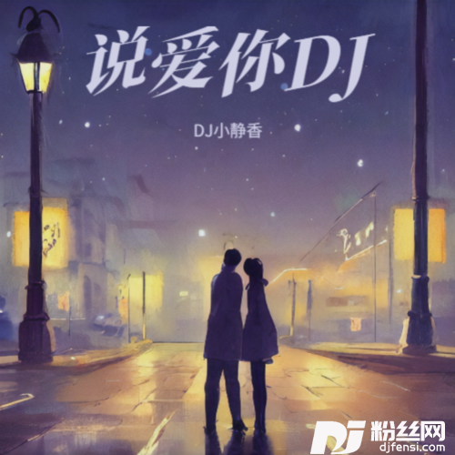 说爱你DJ