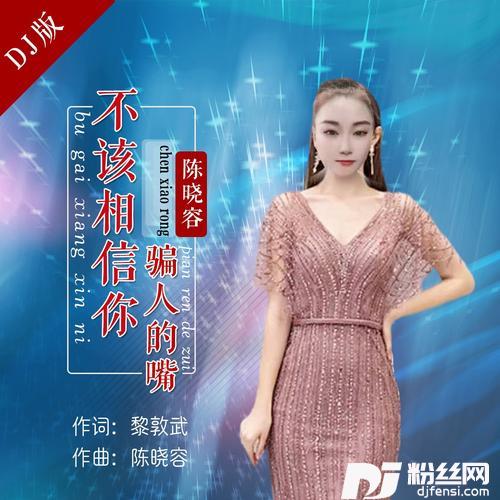 不该相信你骗人的嘴（DJ）