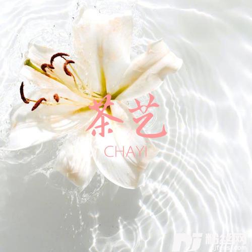 啵啵歌抖音版的专辑