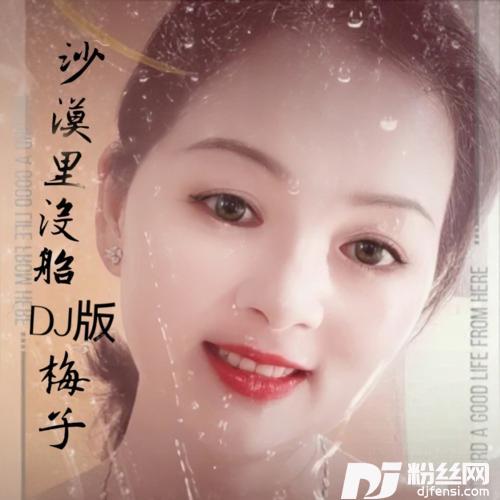 沙漠里没船cover:魏佳艺的专辑