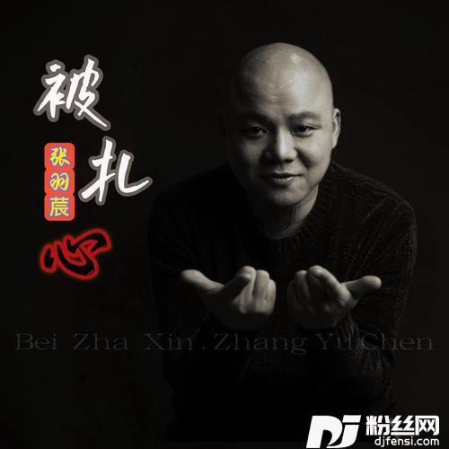 被扎心DJheap九天版