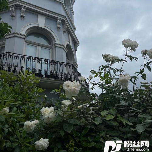 XinĐừngNhấcMáy0.8explicit