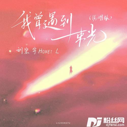 我曾遇到一束光婚礼版