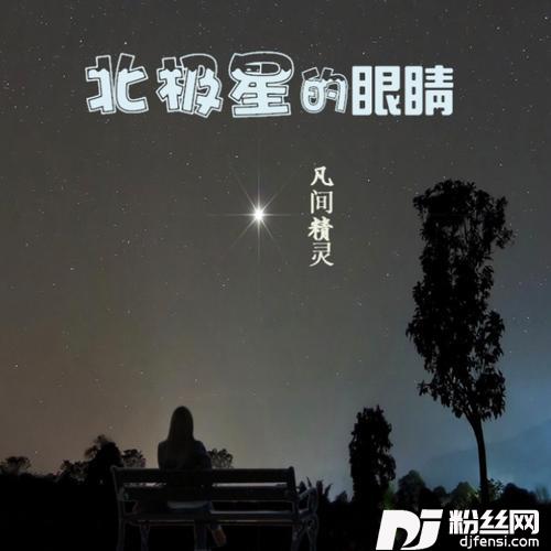 北极星的眼睛（DJ小鹏版）