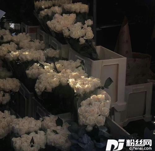 任回忆留伤疤的专辑