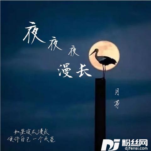 爱难求情难断DJ版