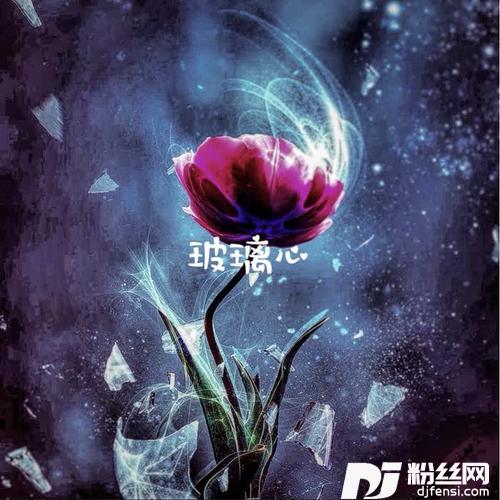 玻璃心的专辑