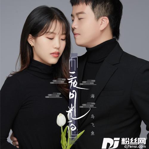 一夜月光白DJ.Gary龙少版