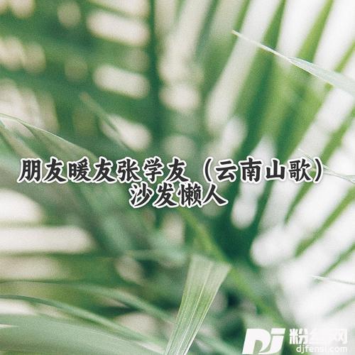 朋友暖友张学友云南山歌）