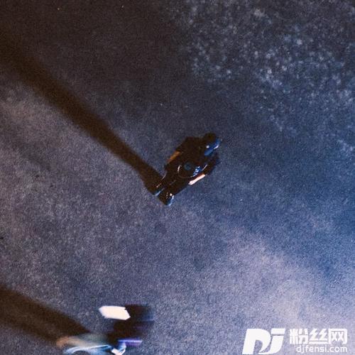 夜行动物的专辑