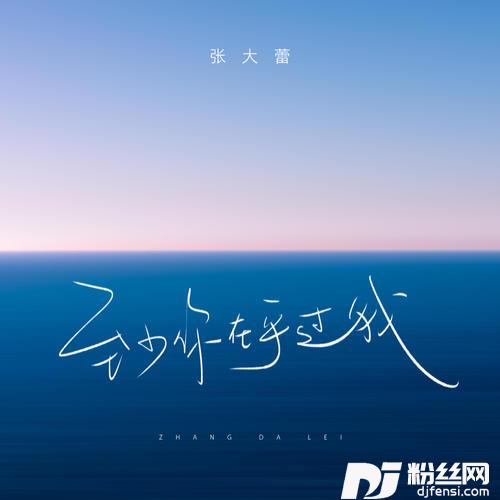 至少你在乎过我的专辑