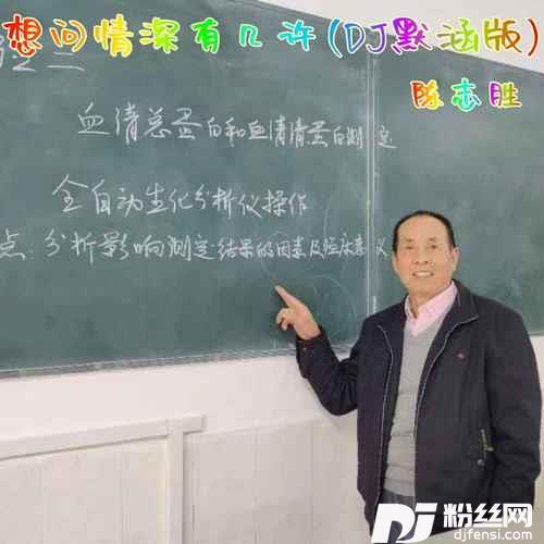 想问情深有几许DJ默涵版