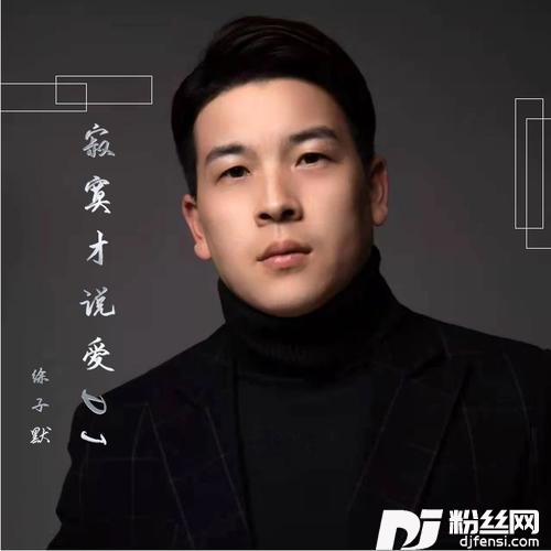 寂寞才说爱（DJ版）