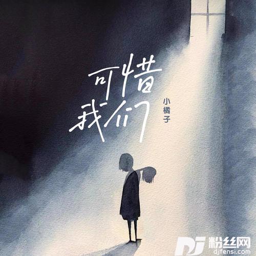 可惜我们