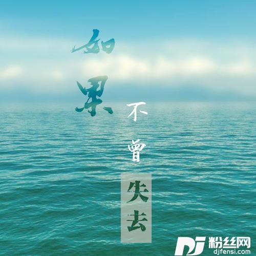 如果不曾失去的专辑