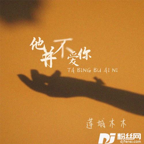 他并不爱你的专辑