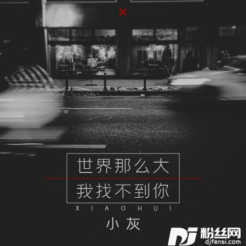 世界那么大我找不到你的专辑