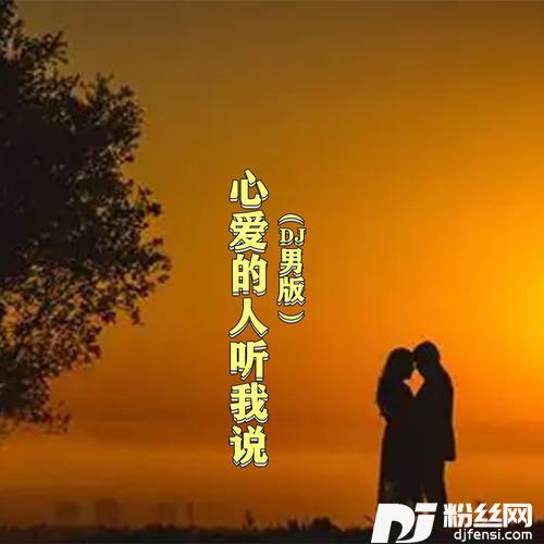 心爱的人听我说DJ
