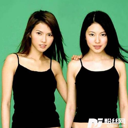 ShiningFriends小清新主题