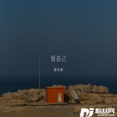 我自己的专辑