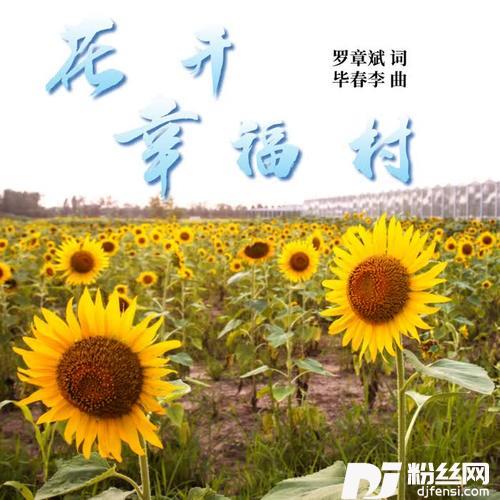 花开幸福村的专辑