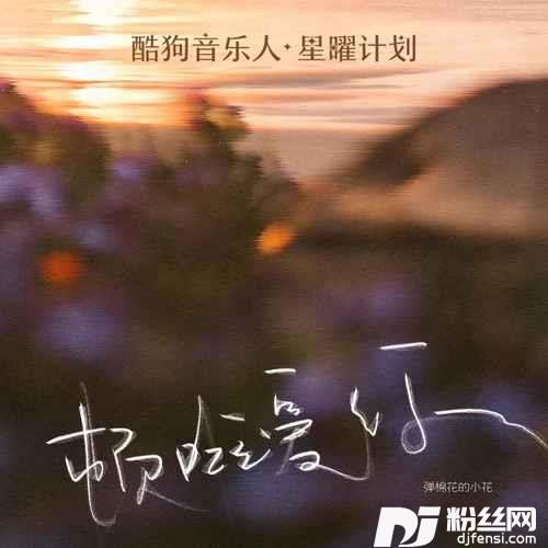 顿啦爱你小花版·DJ沈念Remix的专辑