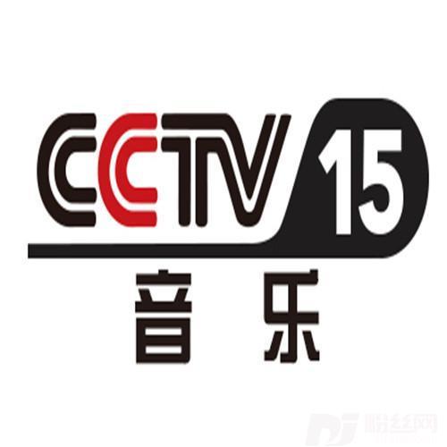 一起摇摆CCTV音乐频道