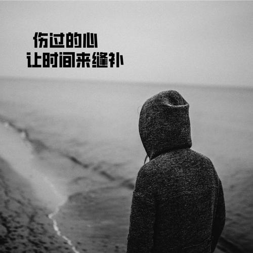 伤过的心让时间来缝补的专辑