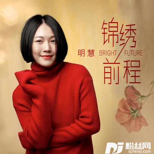 前程锦绣DJ大金版的专辑