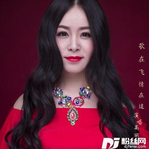 歌在飞情在追