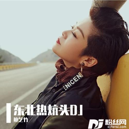 东北热炕头（DJ版）的专辑