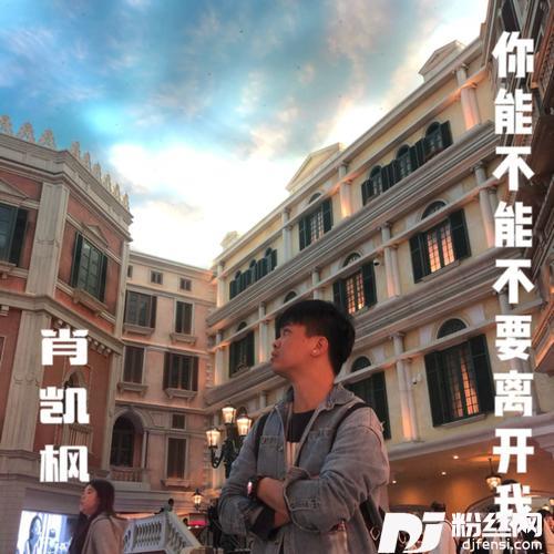 你能不能不要离开我（正式版）的专辑