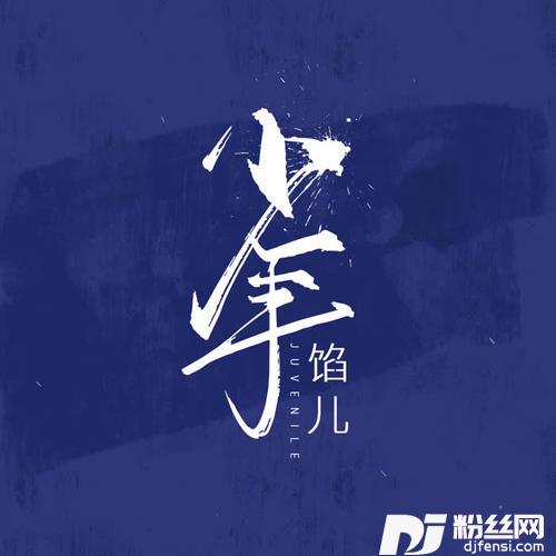 少年的专辑