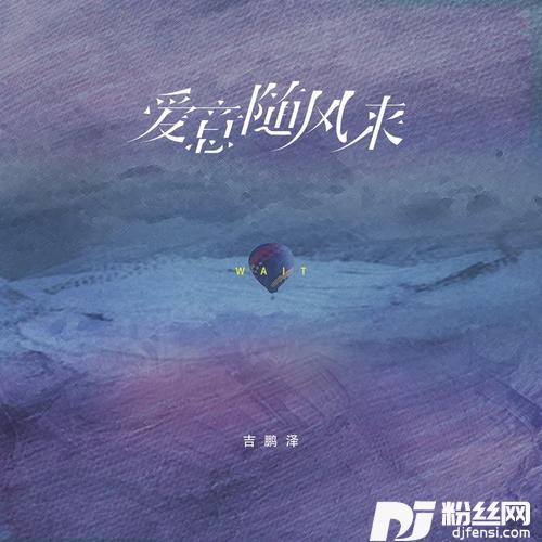爱意随风来DJ名龙版