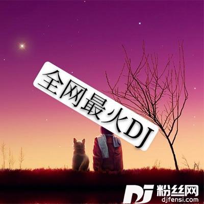 天蓬元帅DJ