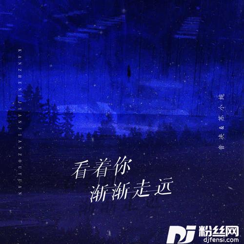 看着你渐渐走远DJ版