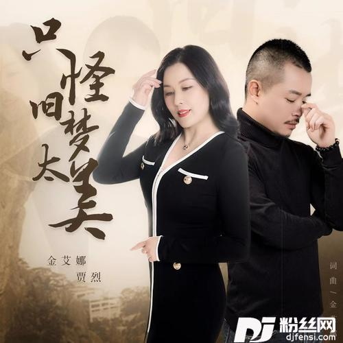 只怪旧梦太美