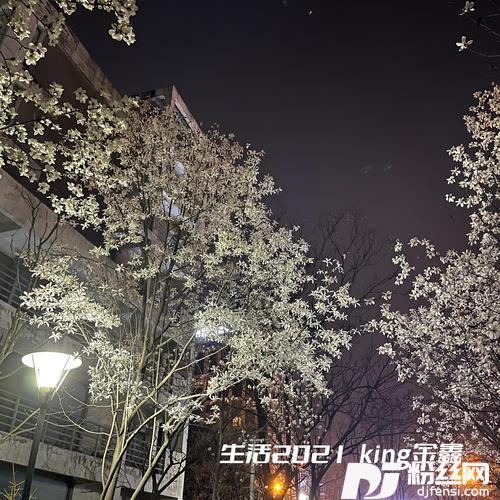 生活2021