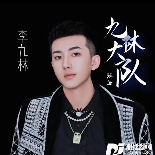 九林大队的专辑