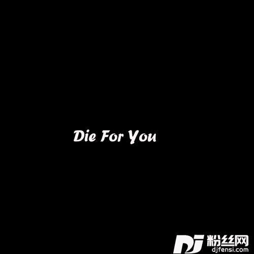 dusktilldawn0.8x