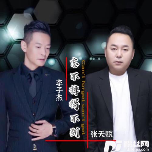 忘不掉得不到的专辑